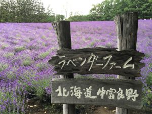 2020年7月 北海道旅行（旭川・富良野）